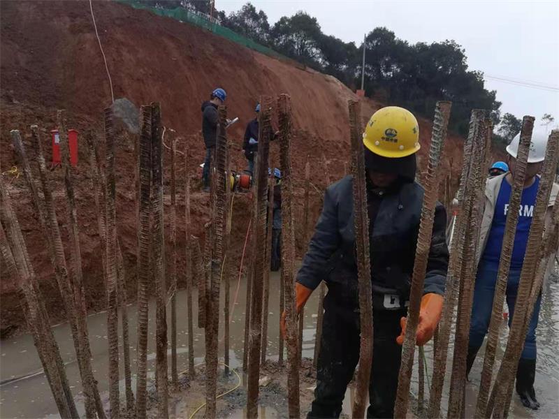 1619079211245208.jpg 新龙高架桥3墩第三方检桩3.3_看图王5.jpg