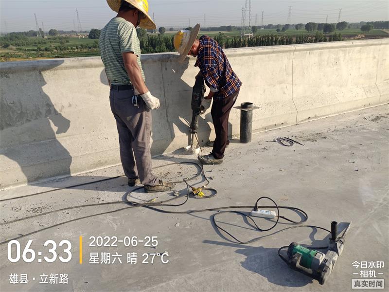 1656643023642780.jpg 雄白.jpg