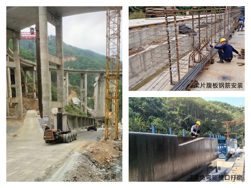 1711007893545976.jpg 勐绿.jpg